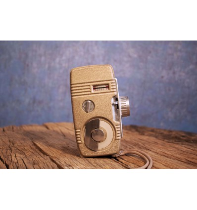 Revere VIntage Camera